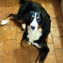 Lise Boycha - @AnnBoyCha1823 - Twitter