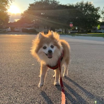 jordanponce_'s profile picture. trying to keep a smile