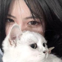 Rel. (@gutc) 's Twitter Profile