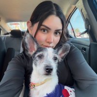 ♡ᥨ 𐬥𐍂ᥲ♡ (@soykuukiiz) 's Twitter Profile