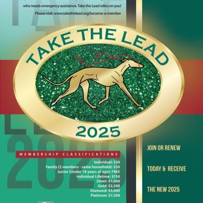 TakeTheLeadNY's profile picture. Secretary of Take The Lead foundation,assisting people in the sport of dogs who suffer from serious illness or disaster. https://t.co/fyU0hlQ138