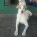 Manuel Jose Rivera Mora (@jose_river83375) Twitter profile photo
