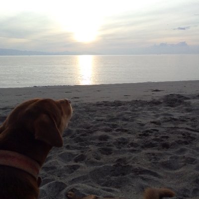 StayinlineB's profile picture. Enjoy life