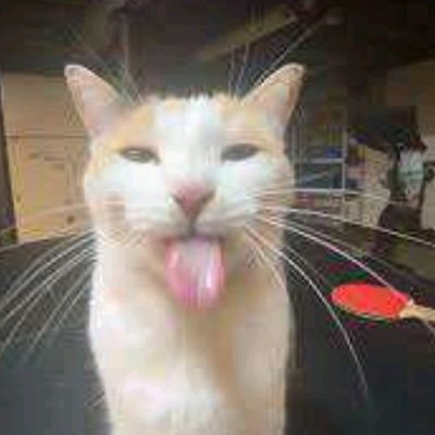 PriukR's profile picture. ridículo de profesión