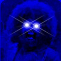 ShillyPreston.tez de la crรฉme ๐๐ ๐ (@shillypreston) 's Twitter Profile Photo ShillyPreston.tez de la crรฉme ๐๐ ๐ (@shillypreston) 's Twitter Profile Photo
