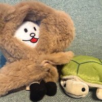 かめきち (@turtle__bump) 's Twitter Profile