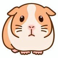 モルモル🌱モルモット (@momollmol) 's Twitter Profile Photo