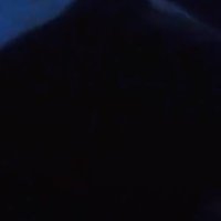 lolo (@lolomorales_) 's Twitter Profile Photo lolo (@lolomorales_) 's Twitter Profile Photo