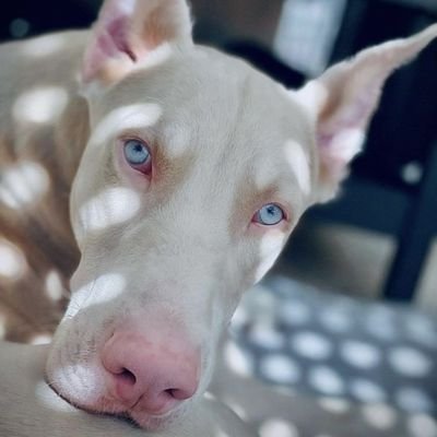 Bestking431707's profile picture. 