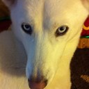 Jade Hsu - @HsuJad - Twitter