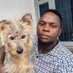 DOG LOVERS RESCUE SITE UG (@doglovers265) Twitter profile photo DOG LOVERS RESCUE SITE UG (@doglovers265) Twitter profile photo