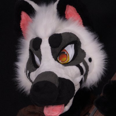 ZiggyDogdust's profile picture. 🤍 23 🩶 I'm just a dog🐺 🖤 Asmr Creator & Enjoyer 🤍 🌿💨 🩶 🇺🇸Texan🇺🇸 🖤🔞18+🧡