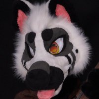 Ziggy (@ziggydogdust) 's Twitter Profile Photo Ziggy (@ziggydogdust) 's Twitter Profile Photo