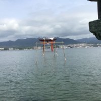 yukingGOOD (@yukinggood) 's Twitter Profile