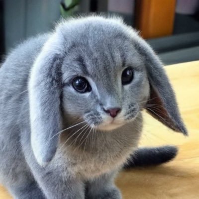 urbz_beauty's profile picture. remaining virtualised & in transit (urban planning & other fractional interests)