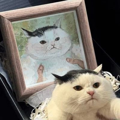 blueblue_jayjey's profile picture. 냉동 계정 서서히 녹이는 중
아직 적응이 필요하지만..맘찍과 재게시를 일삼는 구독계로 진화중.