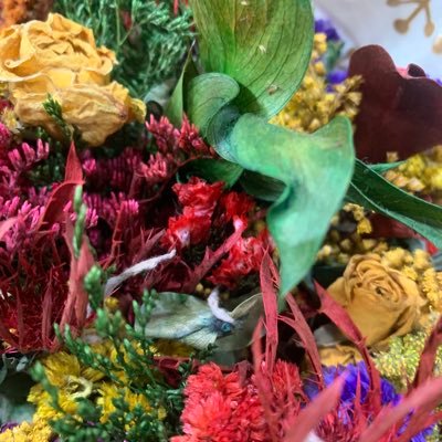 CamilaL50305255's profile picture. 1% Nicola Porcella  💚🔥