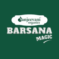 Sanjeevani Organics Barsana Magic (@sanjeevani2024) 's Twitter Profile