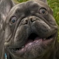 Lenny23 (@jacklenton7) 's Twitter Profile Photo Lenny23 (@jacklenton7) 's Twitter Profile Photo