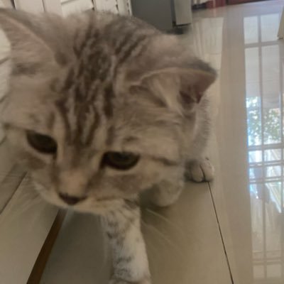 幻想計劃さんのプロフィール画像