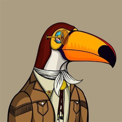 danuta_assia's profile picture. Events specialist @algofoundation