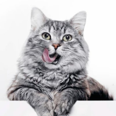 nk2_botter's profile picture. Bottter/Defi/アビトラ・FR多め/普段はソフトウェアエンジニアをしています