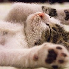 kisaki153888287's profile picture. お金に愛される秘訣やお得情報などお伝えしたりしています。自分自身お金に苦労した経験からお金に困っている人を助けたいと思い、ほんの僅かですが現金配布企画を始めました♫ 支援中⇒ https://t.co/FEr3umJqHK