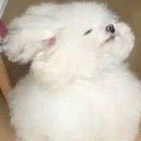 멈케터 (@meomketer) 's Twitter Profile