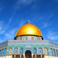 سنظفر بهم 🗨 (@sanazafrbuhum) Twitter profile photo