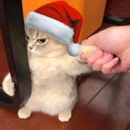 HockeyMania_'s profile picture. 