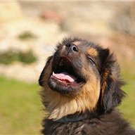 副業で収入を増やすコツを発信中。副業初心者に役立つ情報を提供。少しですが10万円プレゼント企画もしています♬ 支援中→ https://t.co/R7w3GcXiAW