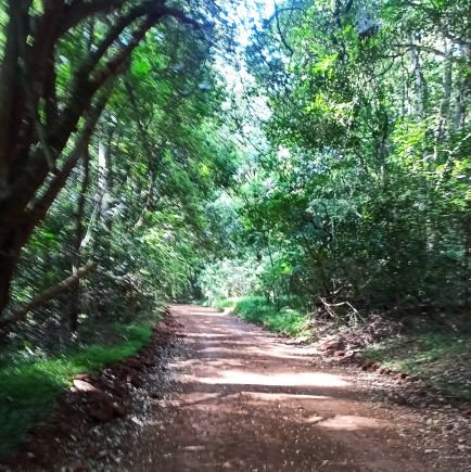 EnneWangechi's profile picture. Kenyan