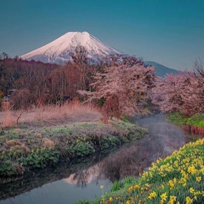 Silano_W's profile picture. 