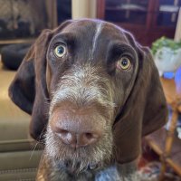 ED (@ed35meriwether) 's Twitter Profile