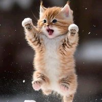 ช-ญ ได้หมด ปักธงชัยทักทายกัน ไม่เรื่องเยอะ (@99fc4a62925c43b) 's Twitter Profile