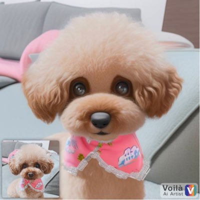 MLBペルーシュコラボ　早い者勝ち Perushu × MLB】大好評のMLBコラボに新色が登場！ | 株式会社BUZZWIT