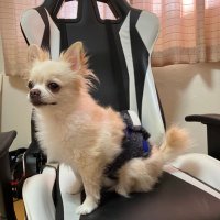 3neta_pg (@ken_10281028) 's Twitter Profile