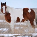 darren perry - @darrenperry4 - Twitter