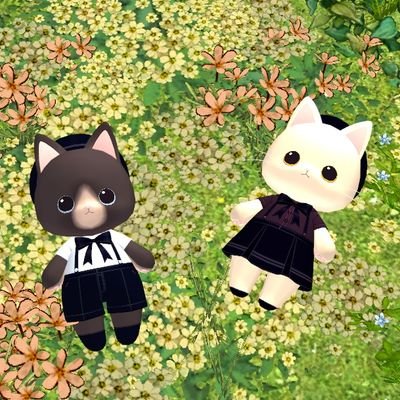 기니✨️さんのプロフィール画像