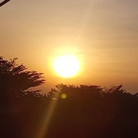 chat skibidi tea (@teaskibidi56430) 's Twitter Profile