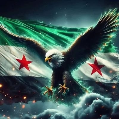 osama20112024's profile picture. 