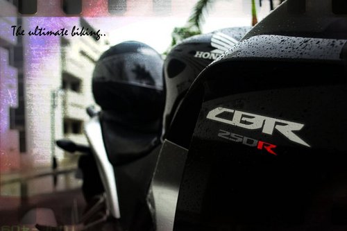 justgivemeaname's profile picture. 