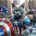 Captain Rochester (@captrochester) Twitter profile photo Captain Rochester (@captrochester) Twitter profile photo