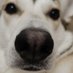 Loyso Pondohva (@darmindont) Twitter profile photo Loyso Pondohva (@darmindont) Twitter profile photo