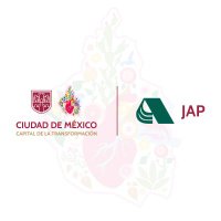 Junta de Asistencia Privada de la CDMX (@jap_cdmx) 's Twitter Profile