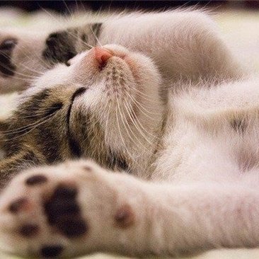 お金を引き寄せる秘訣や有益情報など発信中。自分がお金に苦労したので生活に苦しんでいる方の力になれればと思い、小規模ですが現金給付企画を実施しております★ 支援中→ https://t.co/QuYOyKaGjR