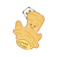 “Ginger” (@leyangxu229811) 's Twitter Profile