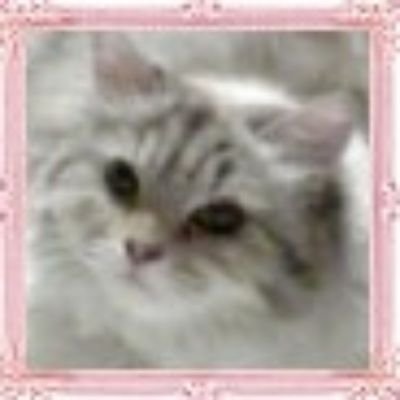 13年以上使ってた前のアカウントログインできなくなっちゃったから、お誕生日を機に新しいアカウント作った
男闘呼組とSMAPとRockonSocialClubと猫とパン作りと占いが好きな中居ヅラ
そしてタイプロ新規のtimeleszファン