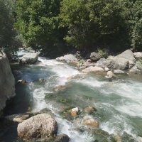metin (@metin877626) 's Twitter Profile