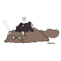 애니안 (@naineh0) 's Twitter Profile Photo 애니안 (@naineh0) 's Twitter Profile Photo